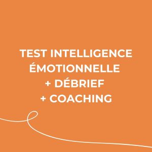 Test intelligence émotionnelle, Débrief et Coaching